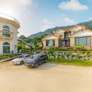 지니스파펜션