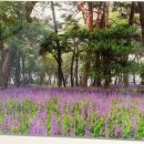 과천시민회관 이미지