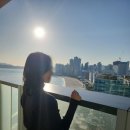 생일기념 시그니엘 부산 호캉스 : 프리미엄 트윈 오션뷰 · 라운지 · 피트니스 · 수영장 총정리