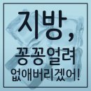 정보광사우나 | 지방분해술 정석!!