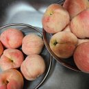 주주스마켓 딱복숭아후기🍑