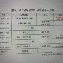 용인대 푸르미르 태권도 이미지
