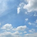 언덕마루펜션 | 강원도 평창 대관령양떼목장 인생샷명소 입장료·주차·산책시간·양산 비치 꿀팁 총정리