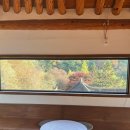 증안지길 이미지