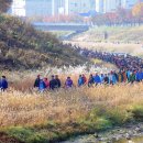 위례강변길 이미지