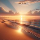 지혜상사 이미지