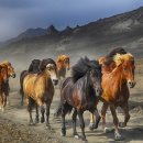 ESD 복싱짐 이미지