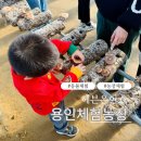 유일농장 | 아이와 함께 용인 가볼 만한 곳 헤븐온어스! 온 가족 용인 체험농장 후기