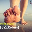 레푸스 동탄호수점