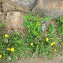 팔공산한정식 이미지