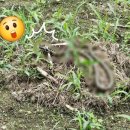 진정경로당 이미지