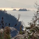 순국공원2 이미지