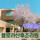 분당 플로라 산후조리원 1일차 제왕절개 vvip룸 후기