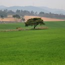 왕지농장 이미지