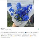 봄이 왔어요! 3월에 볼 수 있는 꽃들을 소개합니다 :) , 지난주 하이꽃집에 들어온 꽃들