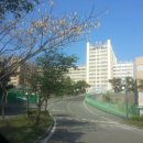 선인중학교 이미지