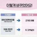 외래어 쉬운 우리말로... '미주알', ' 마이크로투어리즘' 이미지