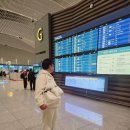 BICHON KOREA | 강아지 고양이 일본 후쿠오카 동반출국 검역대행