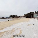 좋은 | 을왕리 오늘 조개구이 선도좋은 맛집 후기