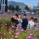 보령시농업기술센터 | [보령] 보령시 농업기술센터 OK 만세보령 농축산 대잔치, 아이들과 함께한 따뜻한 가을 추억