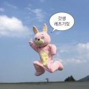 주&글로리 이미지