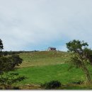 창조목장 이미지