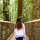 AWESOME POM 이미지