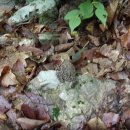 생금비리선재마을휴게소 이미지