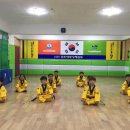 용인대 새로 태권도 이미지