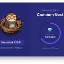 문버드(Moonbird) 이미지