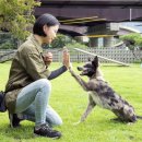 클럽더독스 이미지