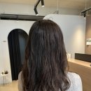 대정동물병원 | 서현역미용실, 오뉴월헤어 소화실장 레이어트 커트 후기