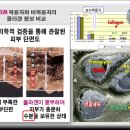 산소황