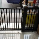 장 동물병원 이미지