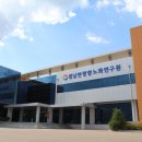 경상인삼