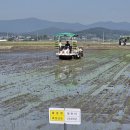 명품복돼지국밥