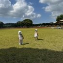 은호목장 이미지