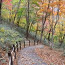 백운산 등산로 이미지