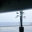 카페베네 대포항점 오락실 | 카시아 속초 호텔앤리조트 프리미엄 킹 룸 오프닝패키지 1박 후기