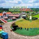 하이목목장 | 틈 없는 액티비티 천국! 제주동쪽가볼만한곳 목장카페 드르쿰다 카트·승마·사격 5살 아이랑 완전 정복