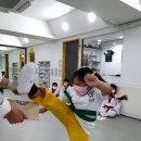 단비태권도장 이미지