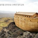 방주 이미지