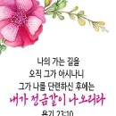 샬롬 - 유성구 엑스포로 488 | 샬롬