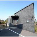 서담미가 이미지