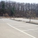 도촌리 마을회관(경로당) | 양평 산수유마을 숨은 명소 발견! 아직 덜 알려진 산수유 스팟 후기