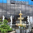 플로라 거창 이미지