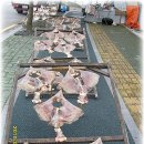 2010년 추석 명절 제수생선 이미지