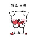 그린빌공인중개사사무소 이미지