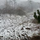 광시농장 이미지