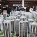 도안지구 이미지